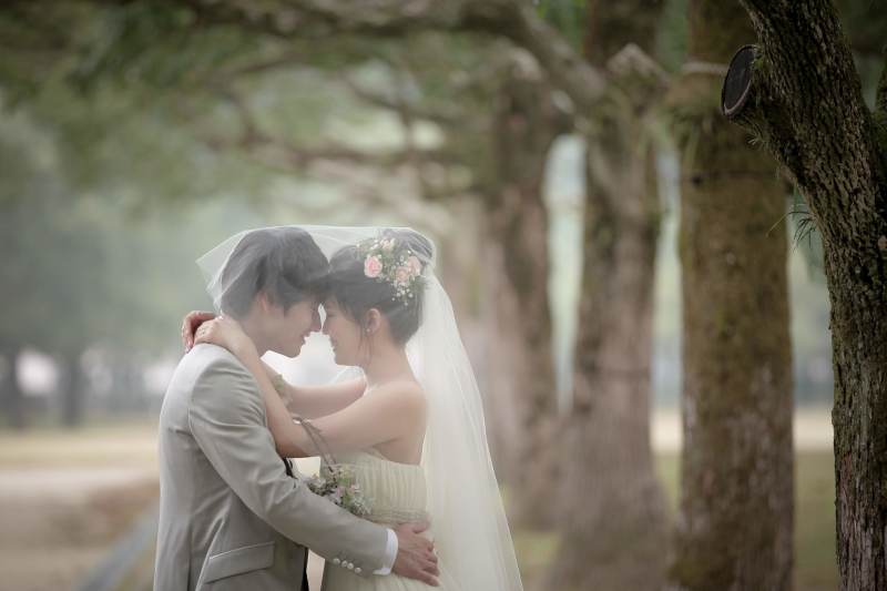 幻想的なワンショット