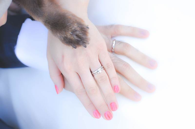 人気の手元ショット♪