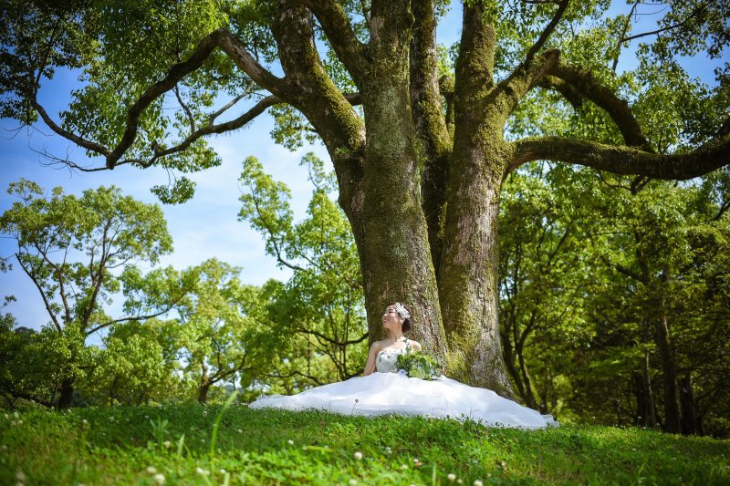 青い空と木のグリーンに・・・