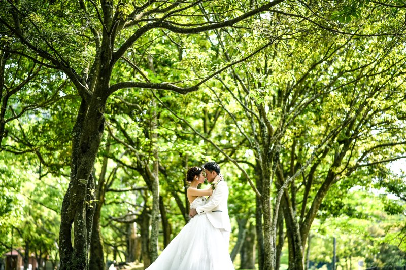 木漏れ日でロマンチックなショット