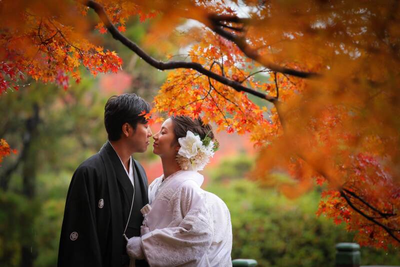 ラストチャンス!『紅葉/すすき』*ロケ付和装撮影プラン(洋装に変更or和装1着追加も可能◎プランはご相談ください)