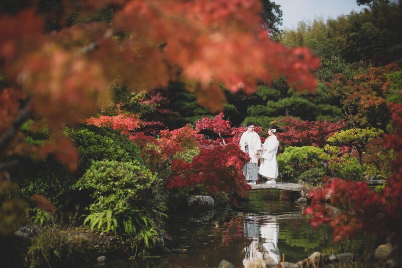 ラストチャンス!『紅葉/すすき』*ロケ付和装撮影プラン(洋装に変更or和装1着追加も可能◎プランはご相談ください)