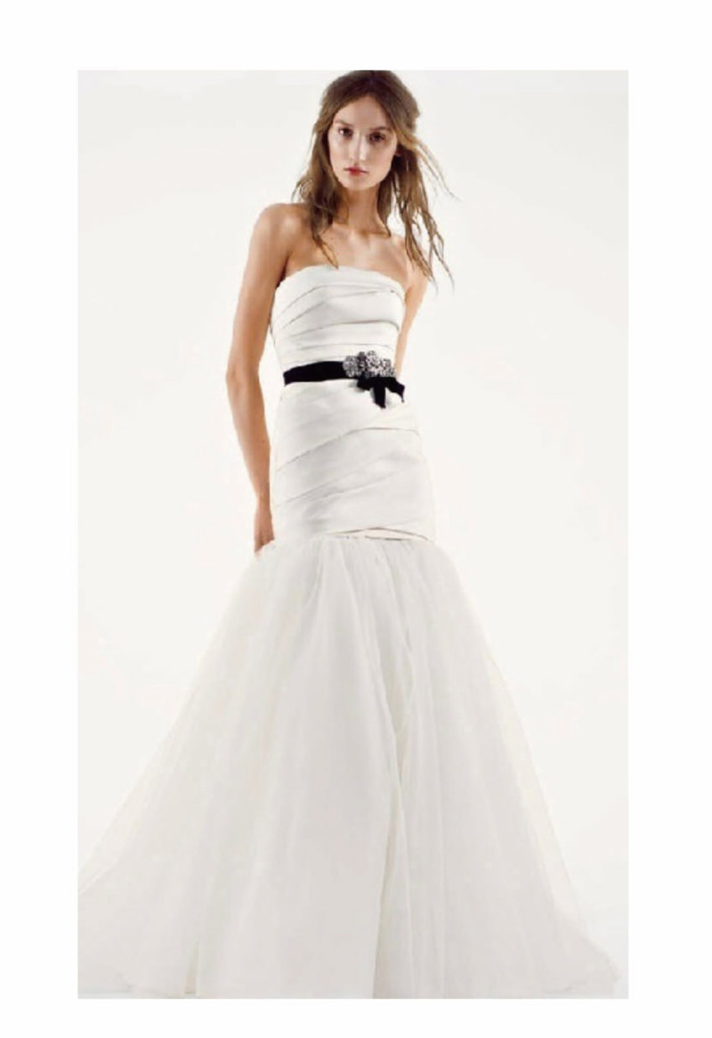 AAA　マーメイド