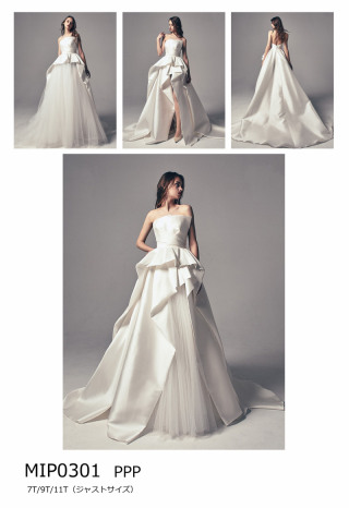 PPP　MIP0301