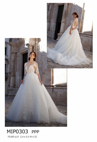 PPP　MIP0303