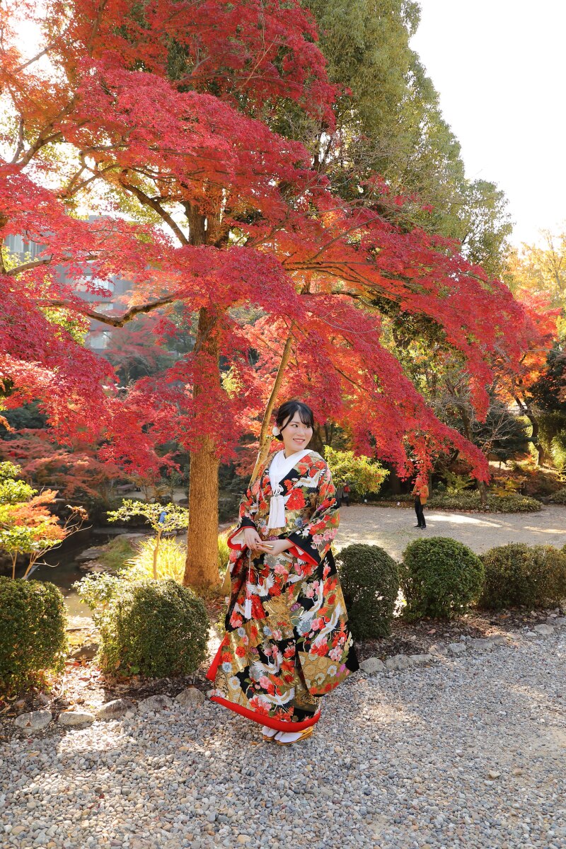 鮮やかな紅葉に包まれて