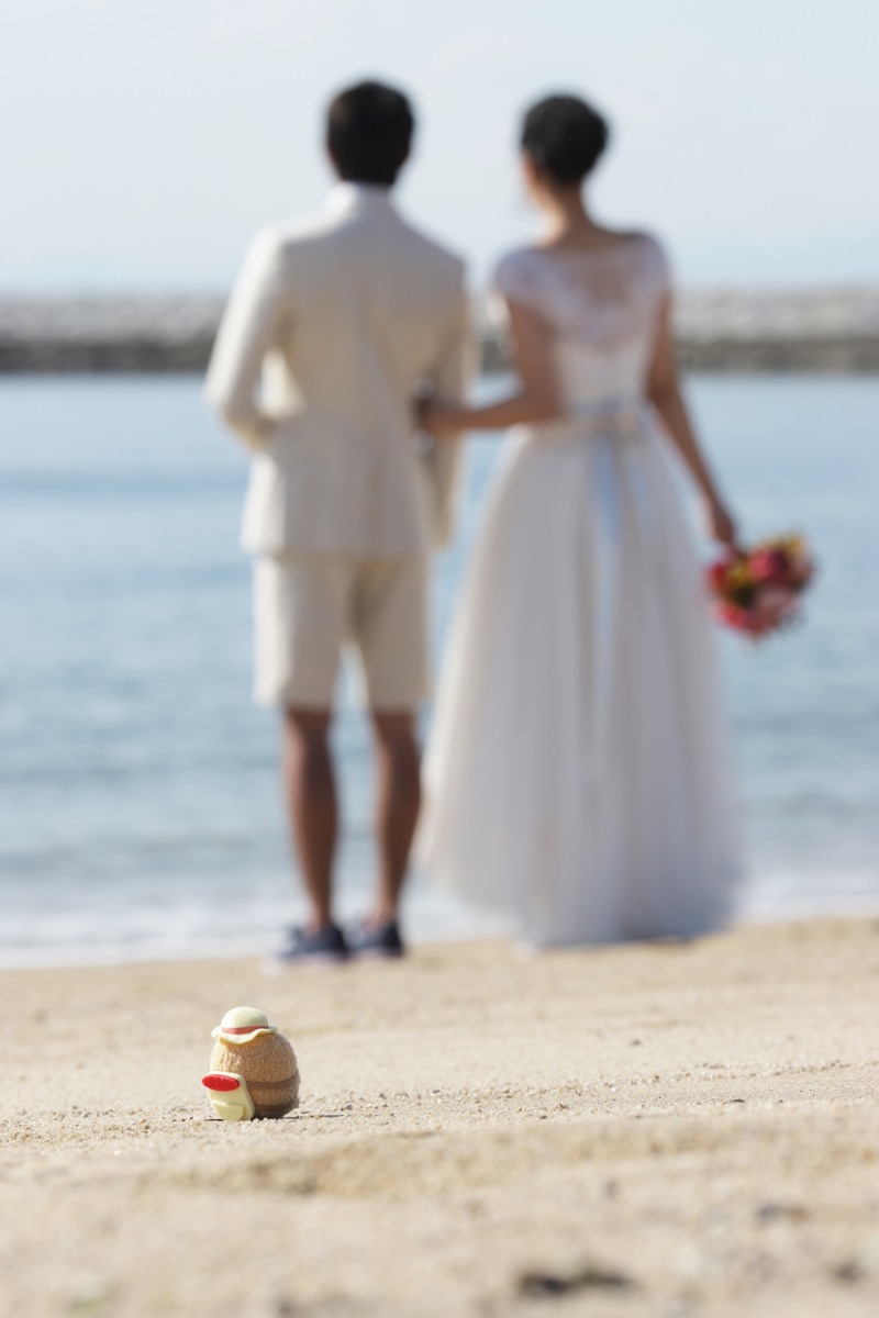 すみっこぐらしと☆