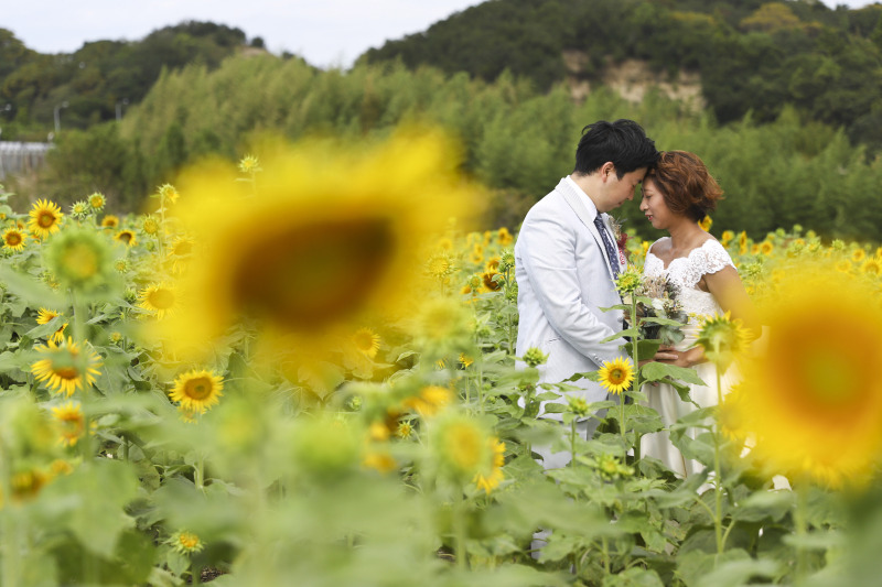 まだまだ見ごろ