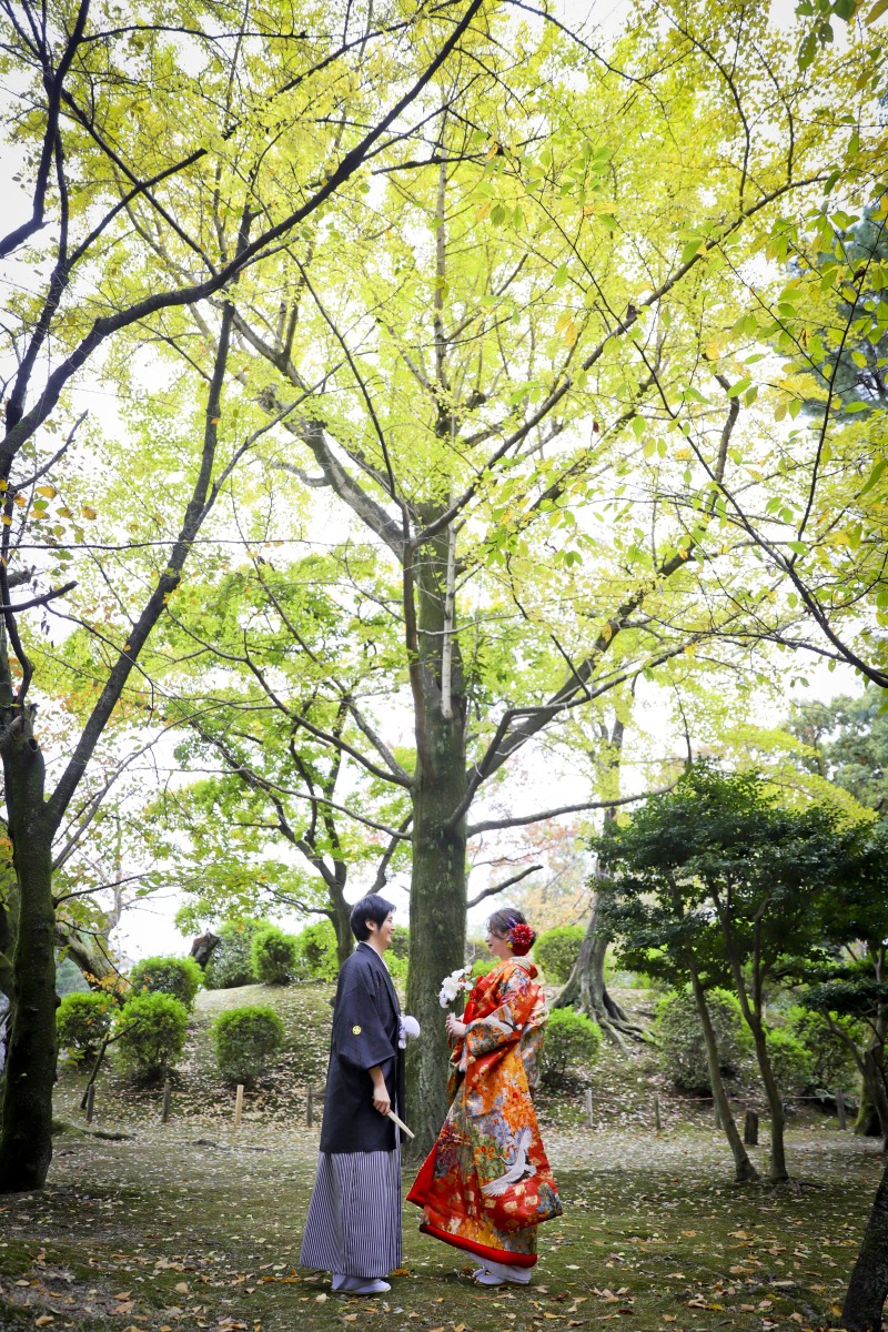 木漏れ日に包まれて