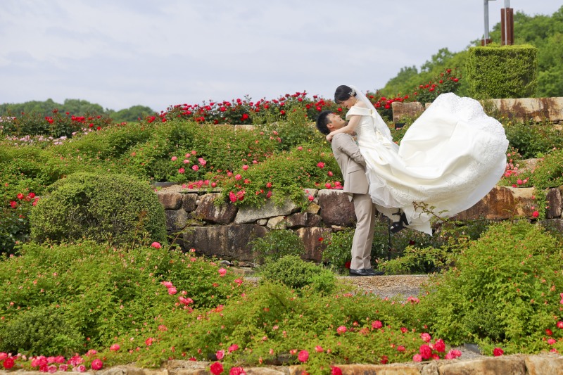 バラに囲まれてダイナミックに抱っこ撮影