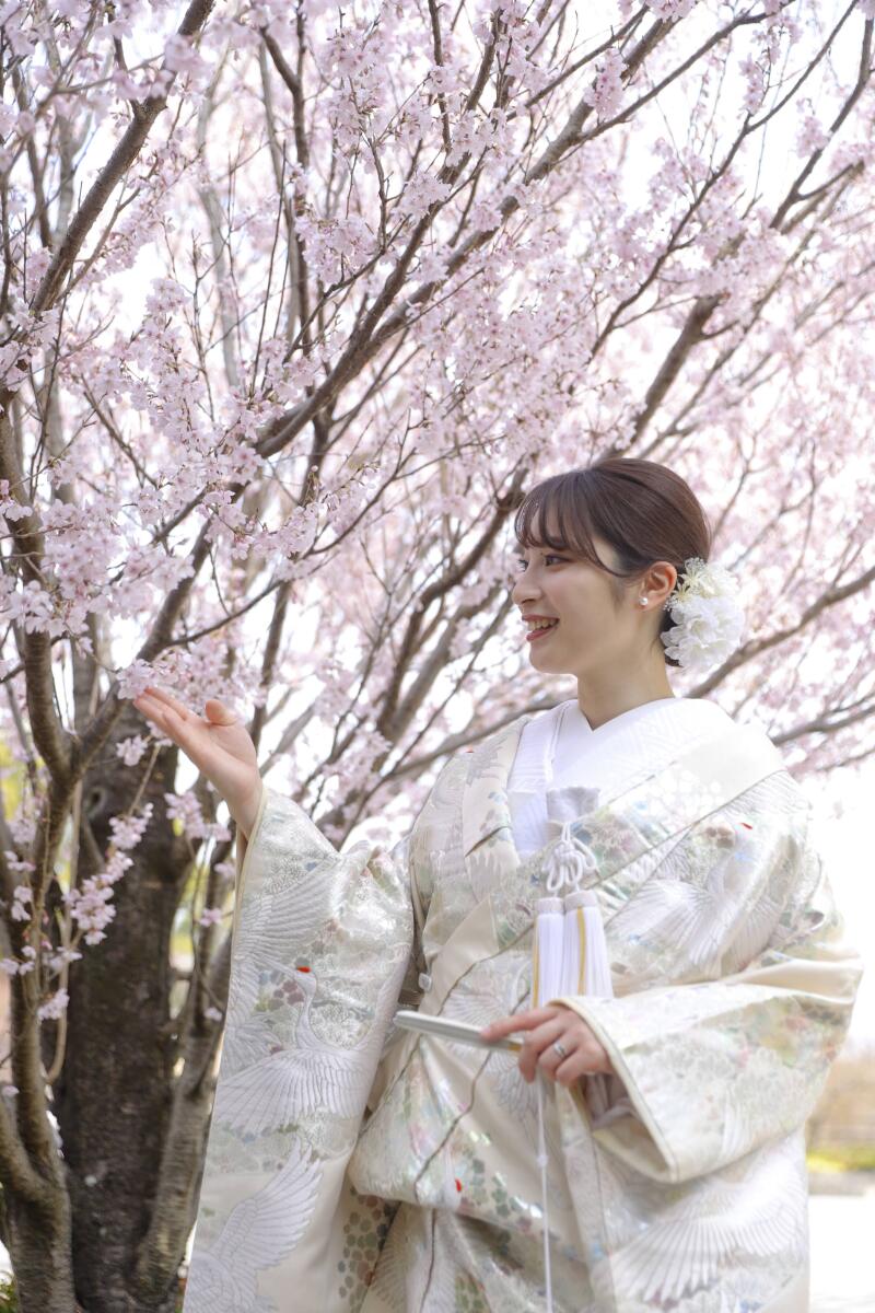 桜を見上げるご新婦さま