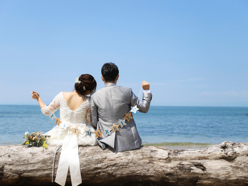 いい感じの流木