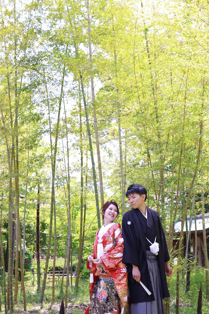 和室周りにある竹林スポットにて