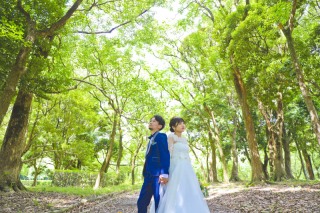 和装は和風な雰囲気でかっこよく、洋装は緑とひまわりのロケーション撮影