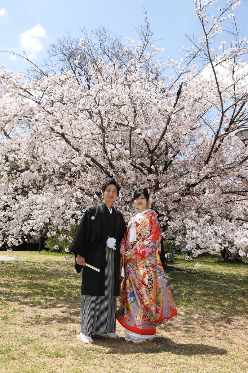満開の桜の下でたたずむ二人
