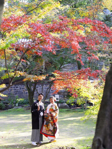 11月で紅葉が綺麗でした