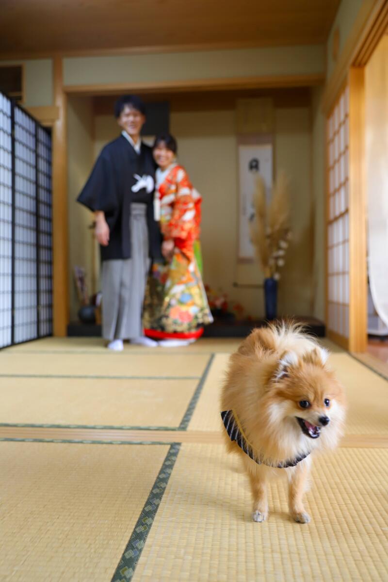 主役はワタシ！？