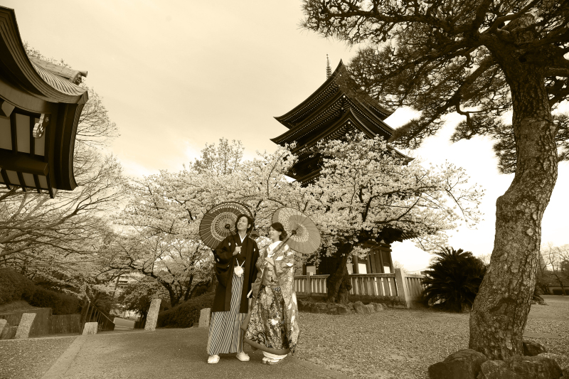 五重塔×桜をバックに