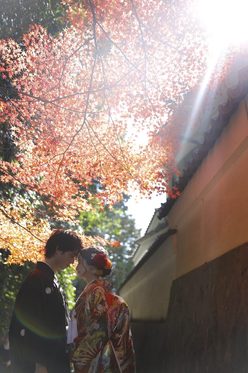 柔らかな光が包む紅葉の小径