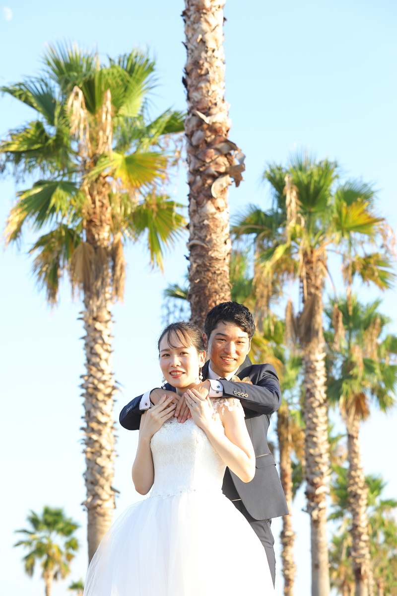 太陽に照らされて