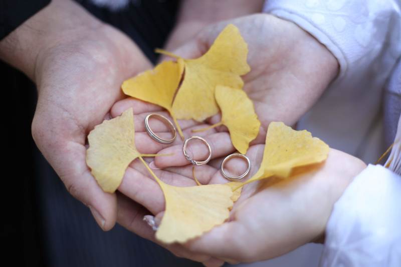 イチョウの葉☆