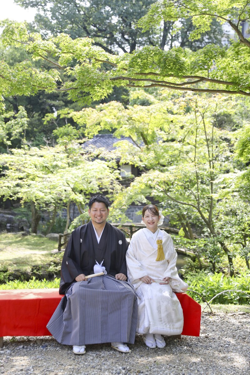 鮮やかな新緑をバックに