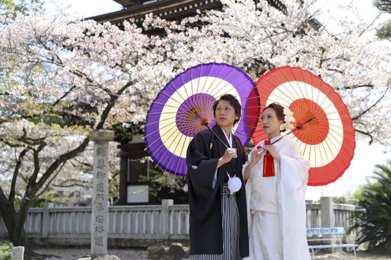 桜をバックに和傘を使って