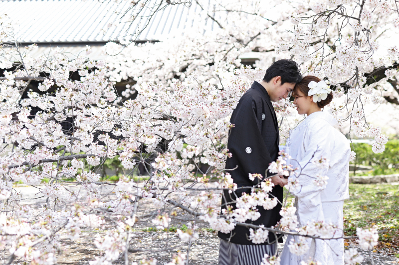 桜の花びらに見守られて