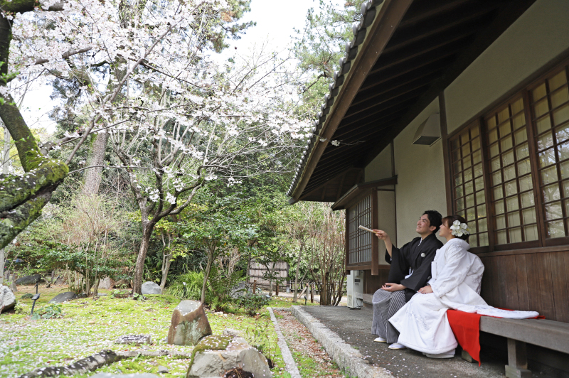 静かな庭園で未来を想う