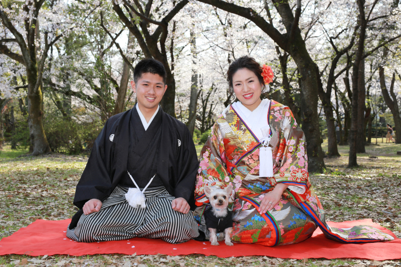 色打掛×正座×ワンちゃん