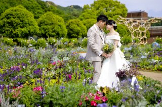 バラの綺麗な時期にバラ園で撮る思い出に残るウエディングフォトを