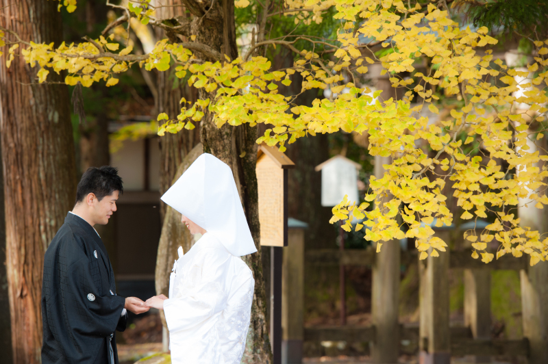 出張郡上八幡ロケ！神社に古い町並みが人気です！