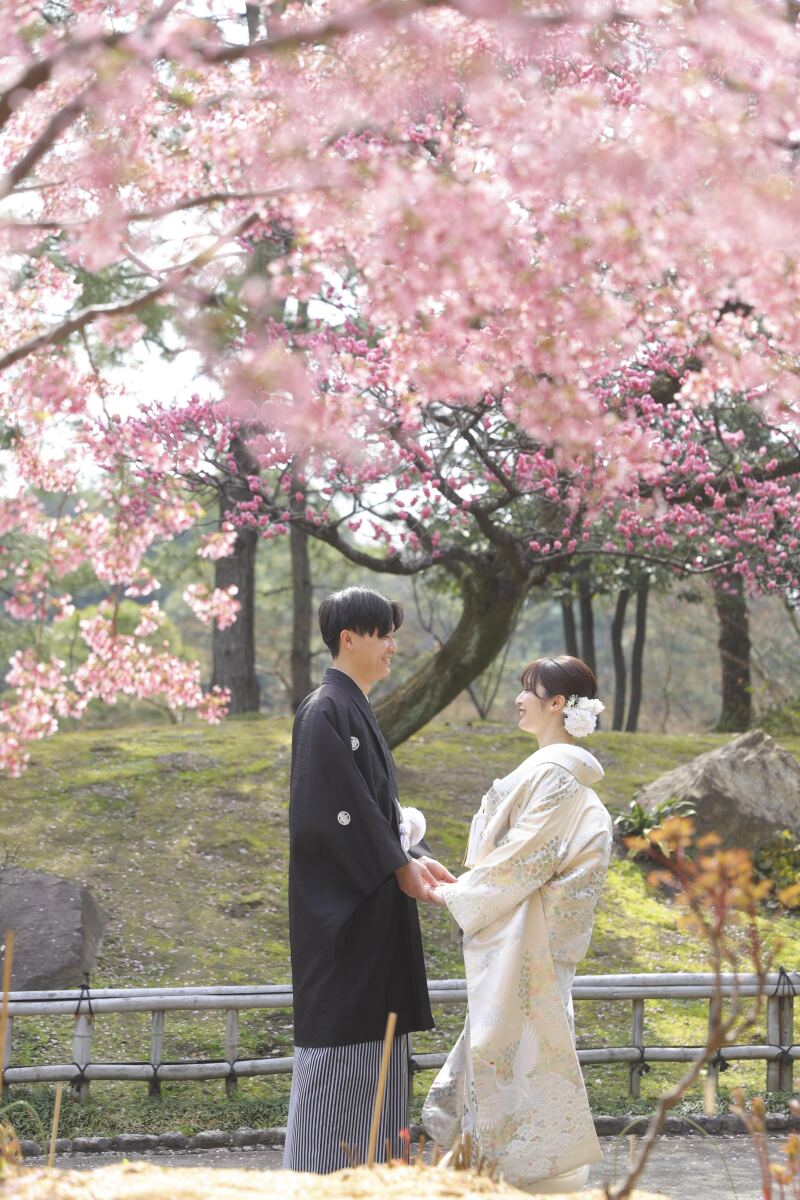 桜の下で手と手を取り