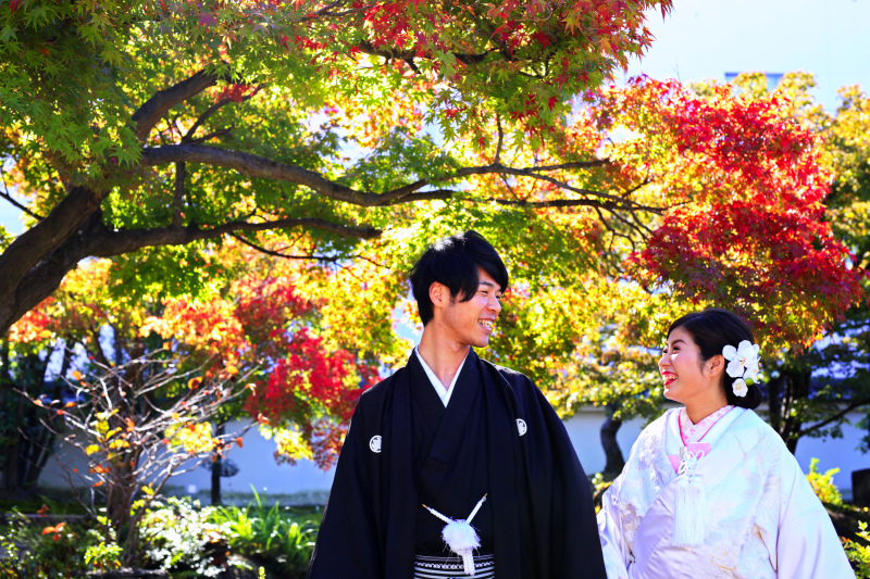 鮮やかな紅葉カット