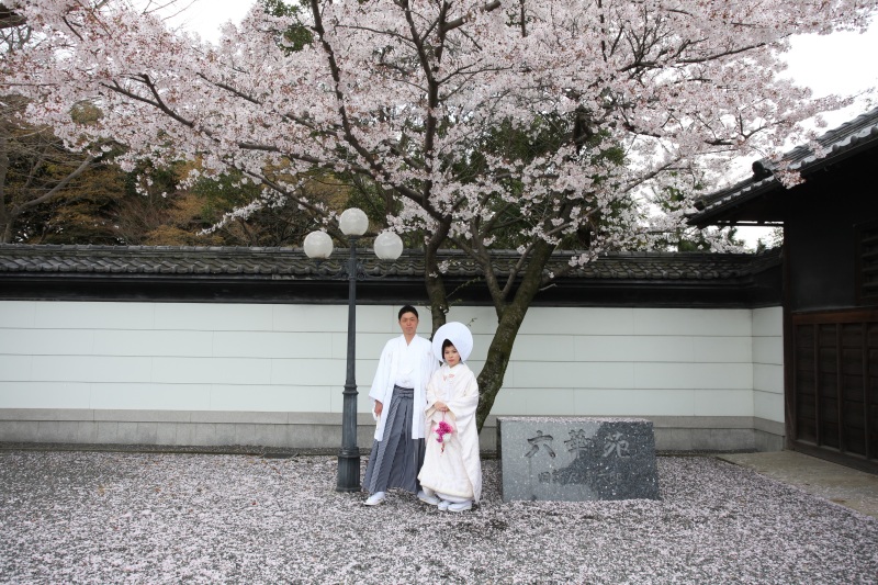 和装ロケ☆桜☆日本庭園