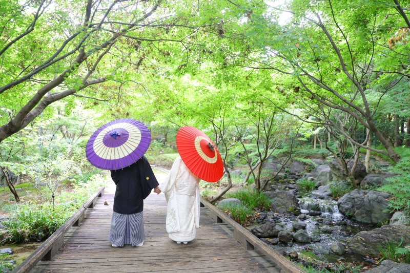 紫と赤の和傘で巡る新緑の庭園