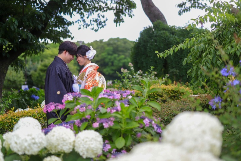 紫陽花の中で額を寄せて