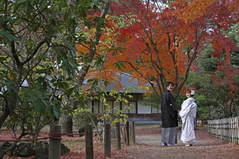 紅葉をバックに