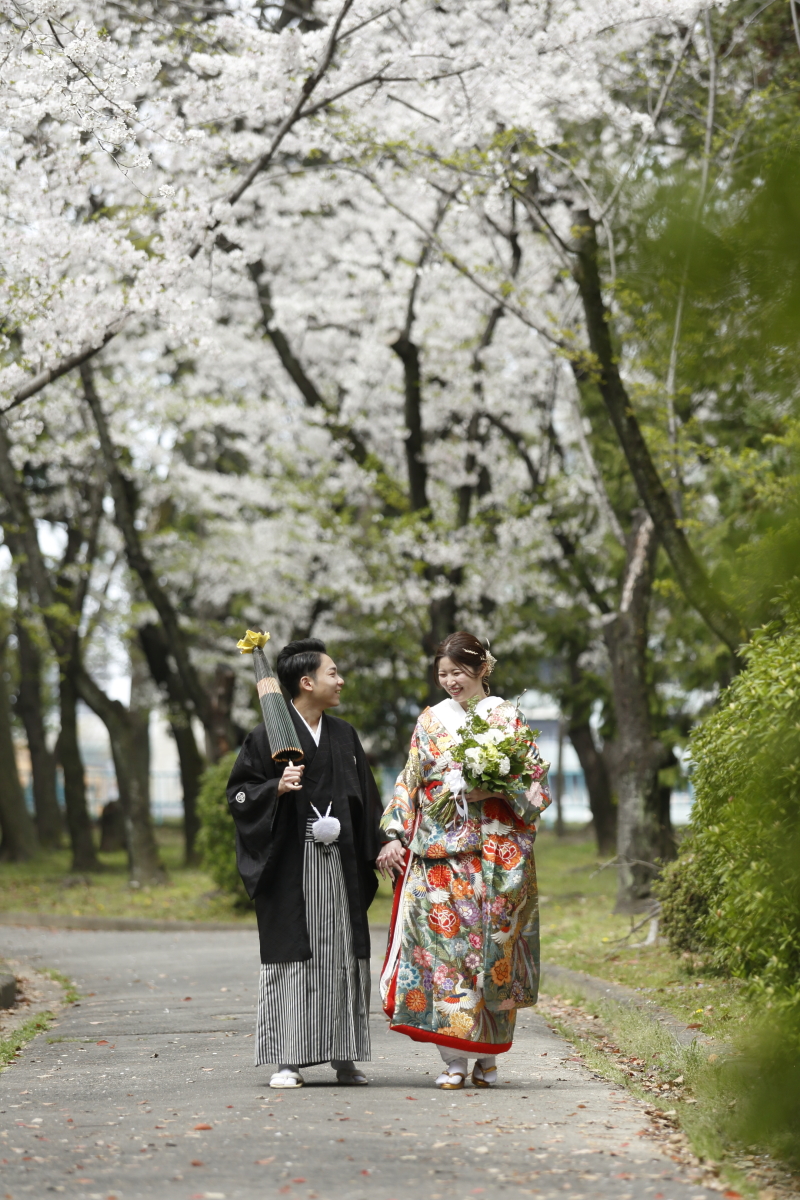 満開の桜の下をお散歩しながら