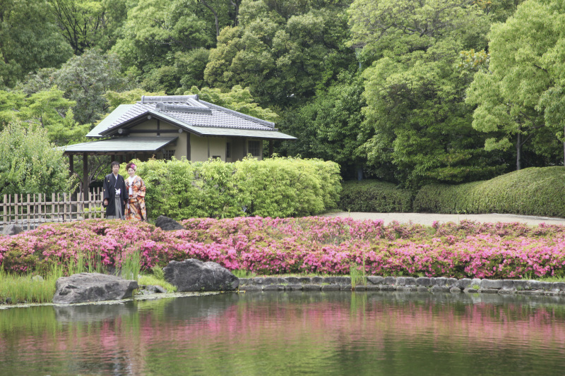 日本庭園×つつじ
