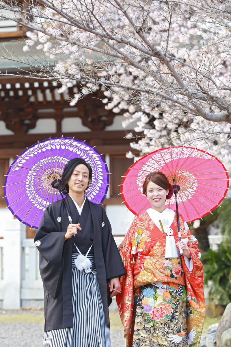 お寺×桜のお散歩ショット