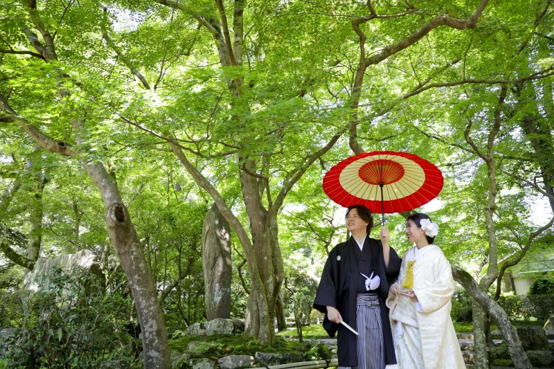 和傘は撮影小物としてご用意しております