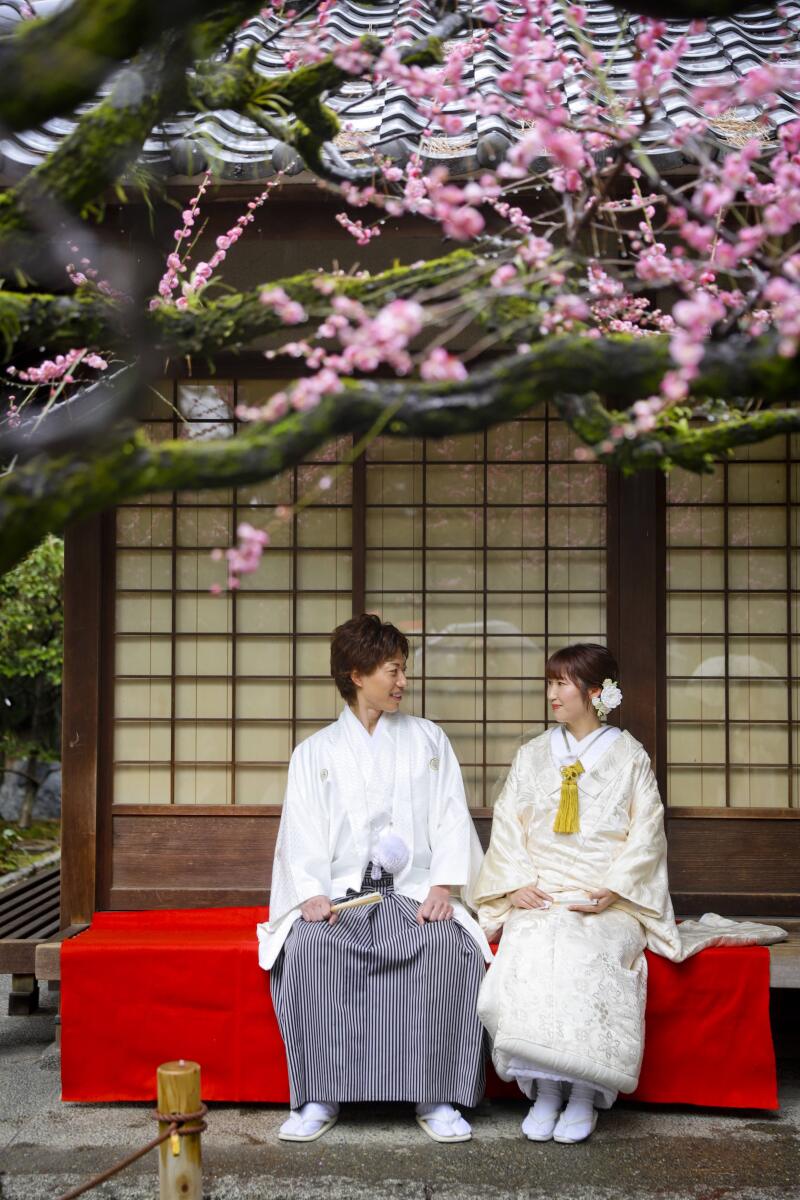 梅が綺麗に咲き誇る名古屋城にて撮影開始