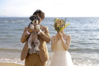 ワンちゃんと野間灯台でサンセット海ロケ撮影