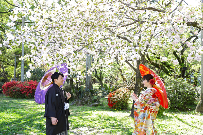 遅咲きの桜が素敵でした