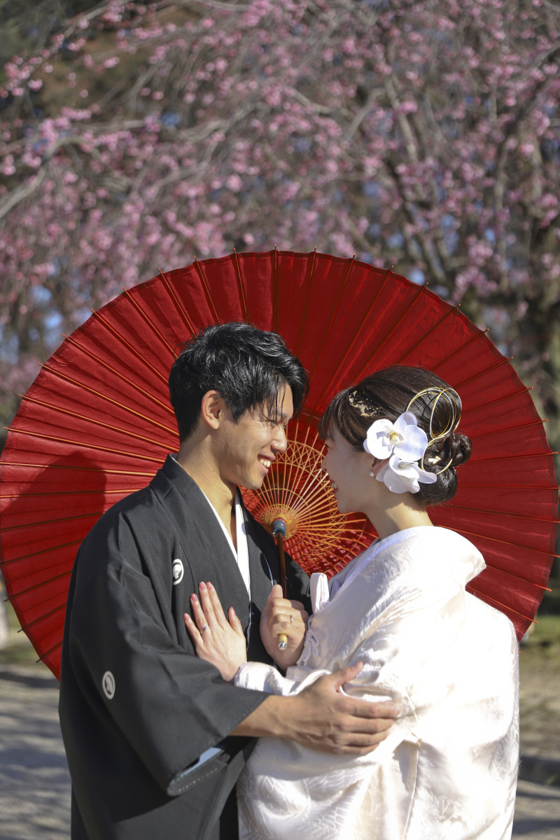 しだれ桜をバックに和傘を使って