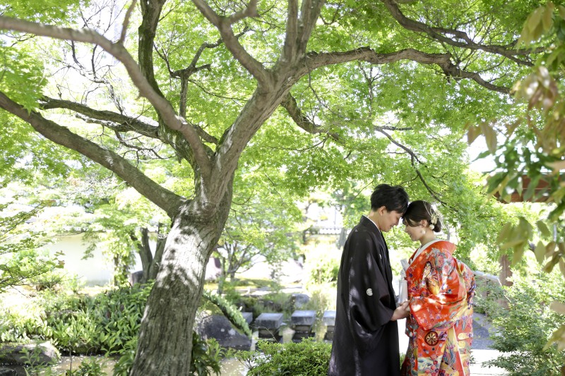 緑に囲まれたシーンの撮れます