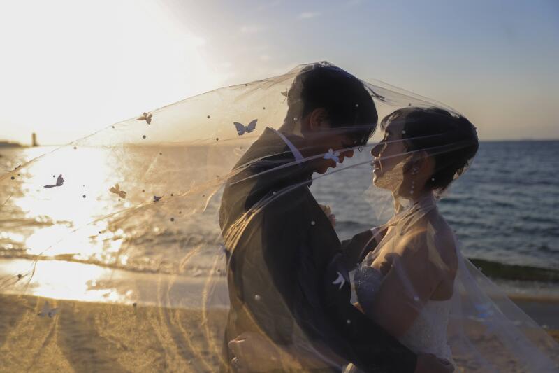 ベールに包まれる幻想