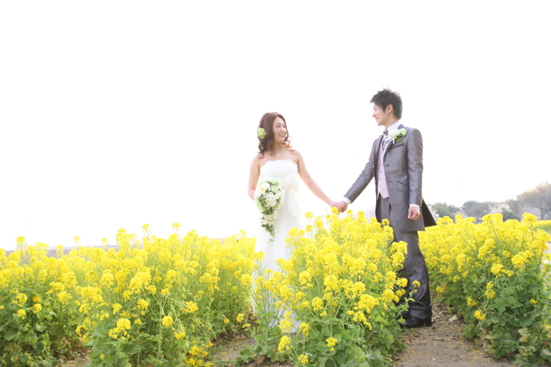 菜の花畑でドレスロケーション撮影