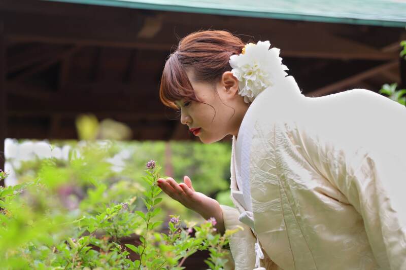 庭の小花にそっと触れて